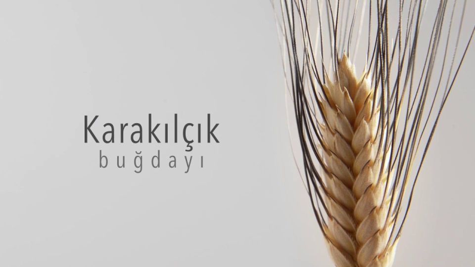 Karakılçık buğdayı 1 kg