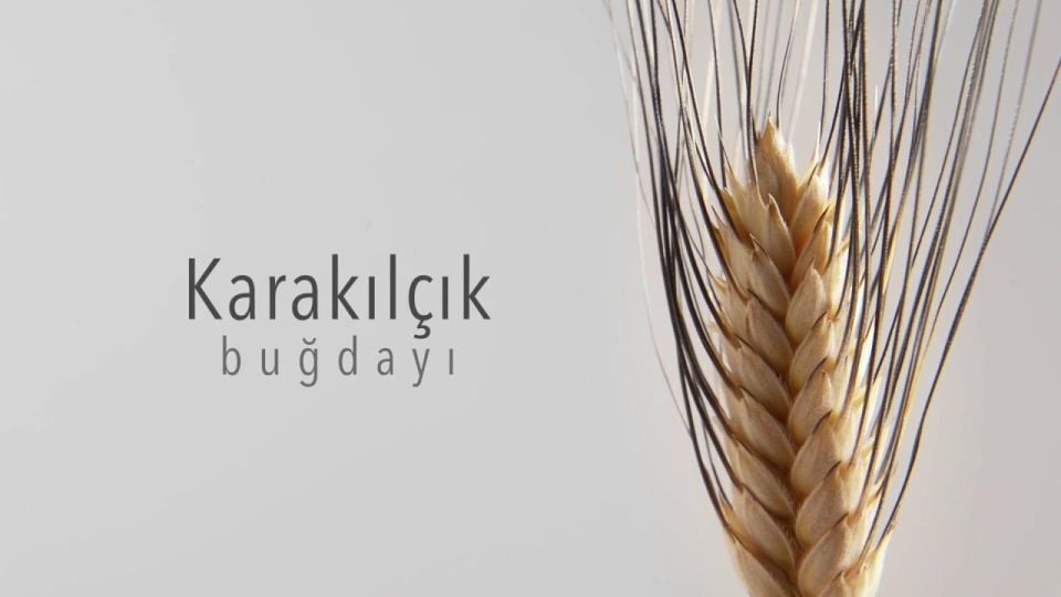 Karakılçık buğdayı 1 kg