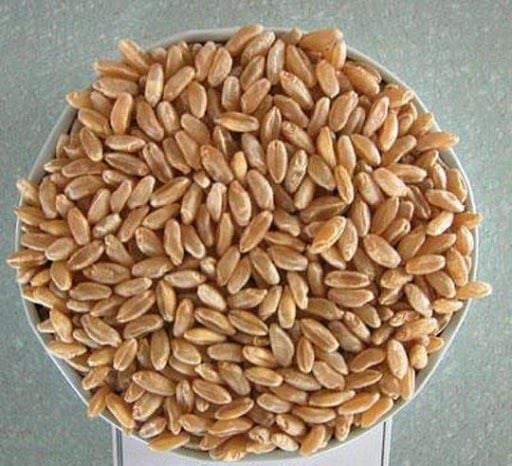 Karakılçık buğdayı 1 kg