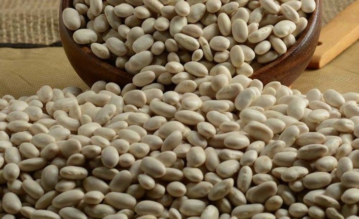 Kuru Fasülye Dermason