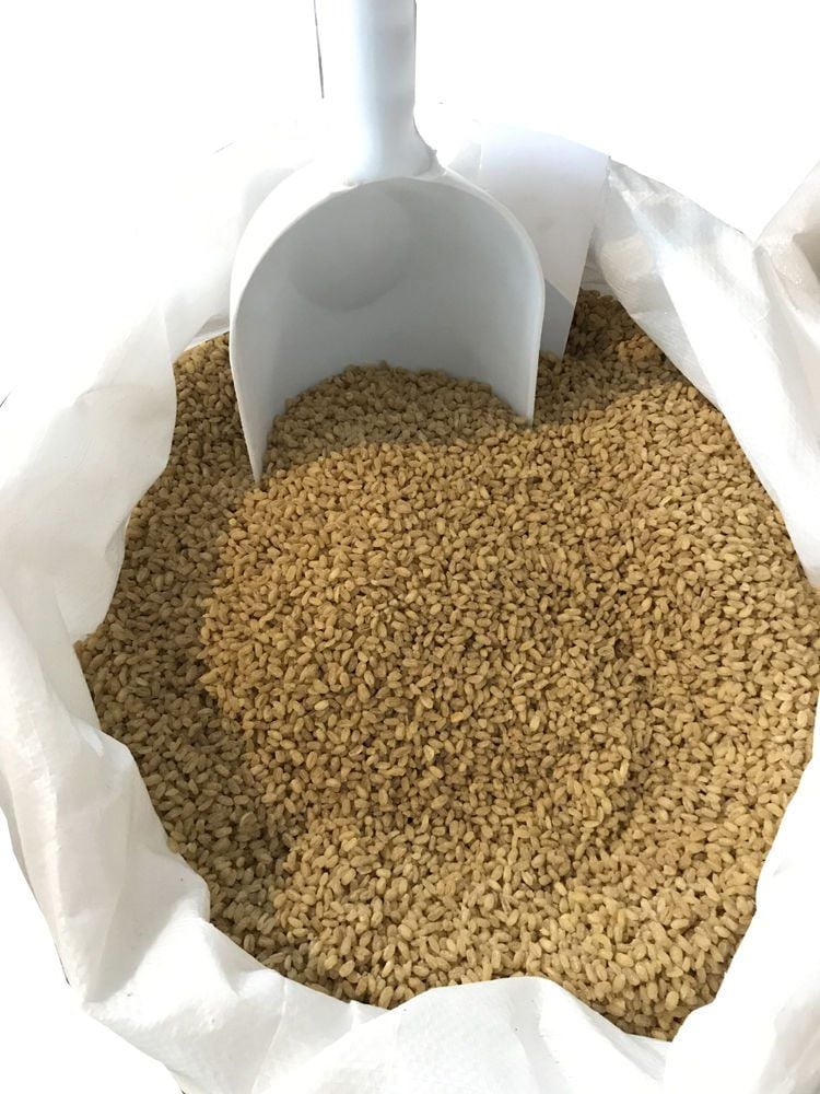 Köy Bulguru (DİRİ) 1 Kg