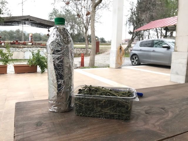 Kekik Suyu (doğal Orman kekiği)1lt