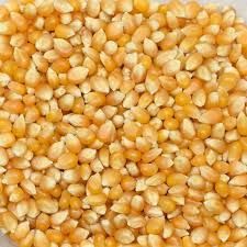 Yerli Patlayan Mısır 500 gr