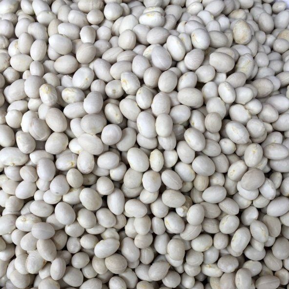 ispir fasülye (erzurum) 1Kg