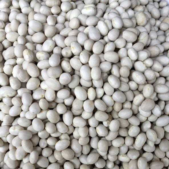 ispir fasülye (erzurum) 1Kg