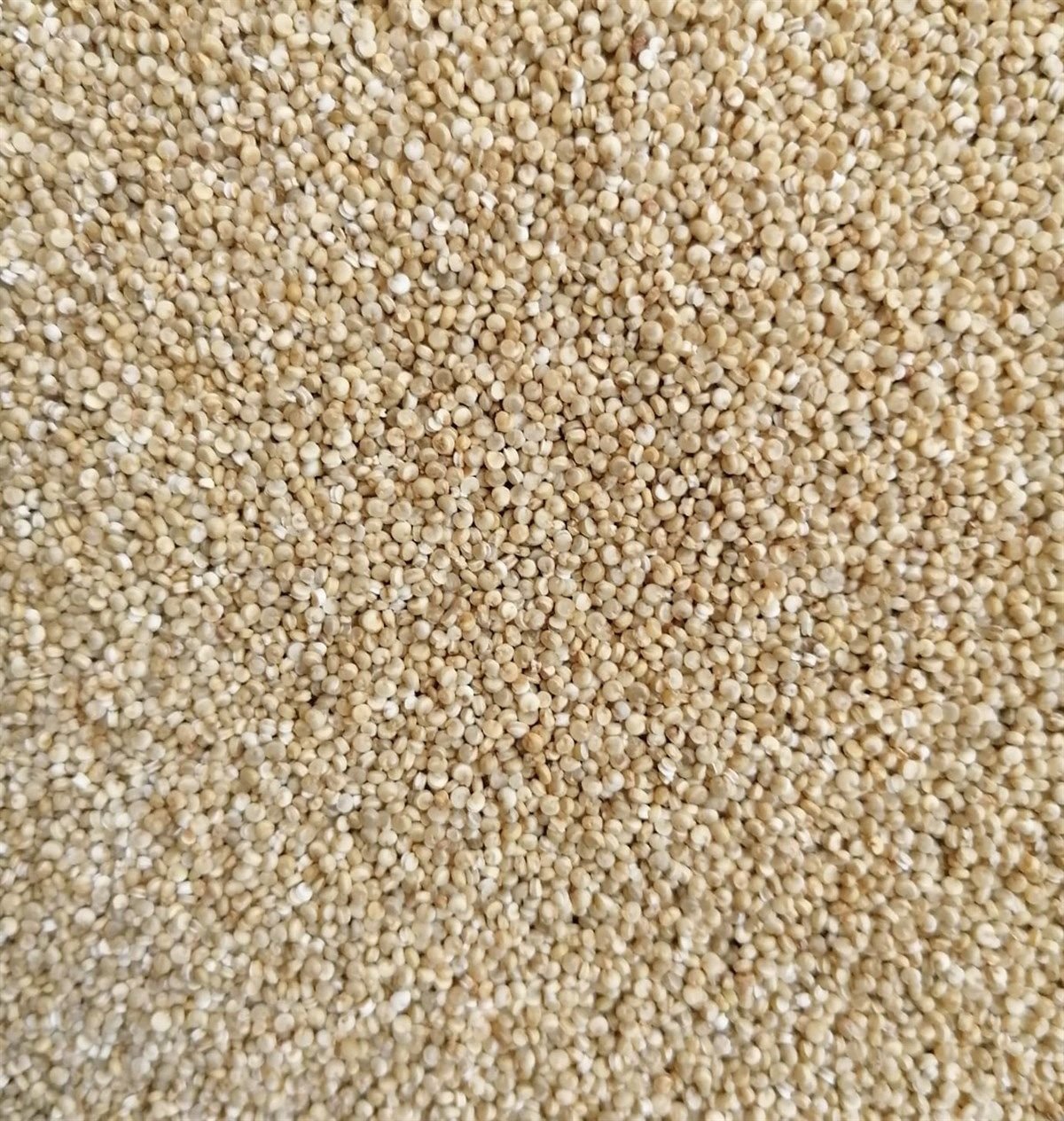 Kinoa (tane) 180 Gr