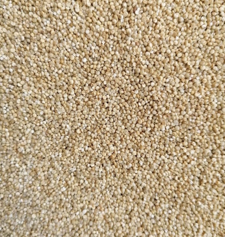 Kinoa (tane) 180 Gr