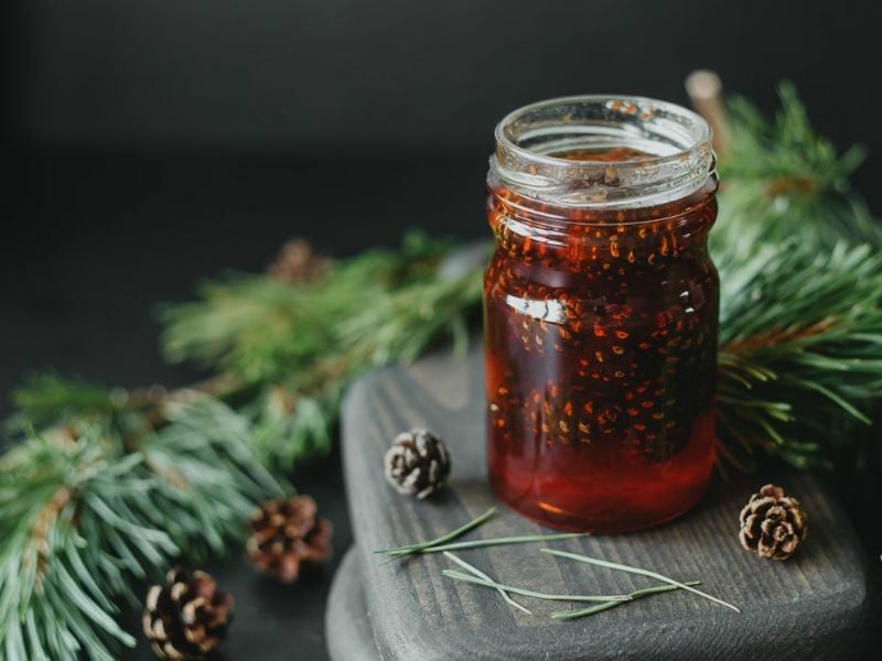 Çam Kozalağı Şurubu 500 cl