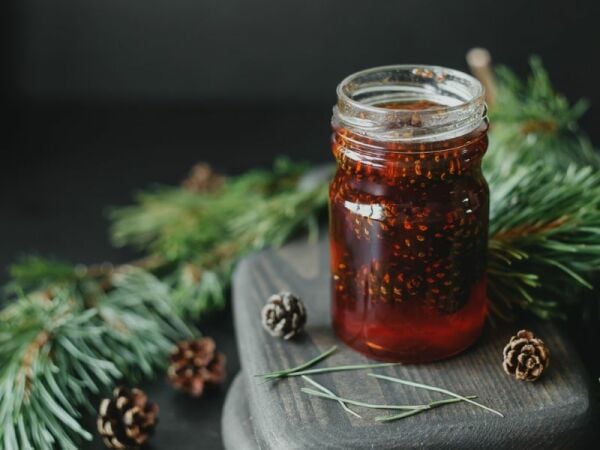 Çam Kozalağı Şurubu 500 cl