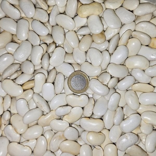 Fasülye çok iri piyazlık 1 kg